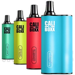 Cali Boxx Disposable Device | 4000 Puffs | 10ML | 5% | 6 Pack | Many Flavor Options
